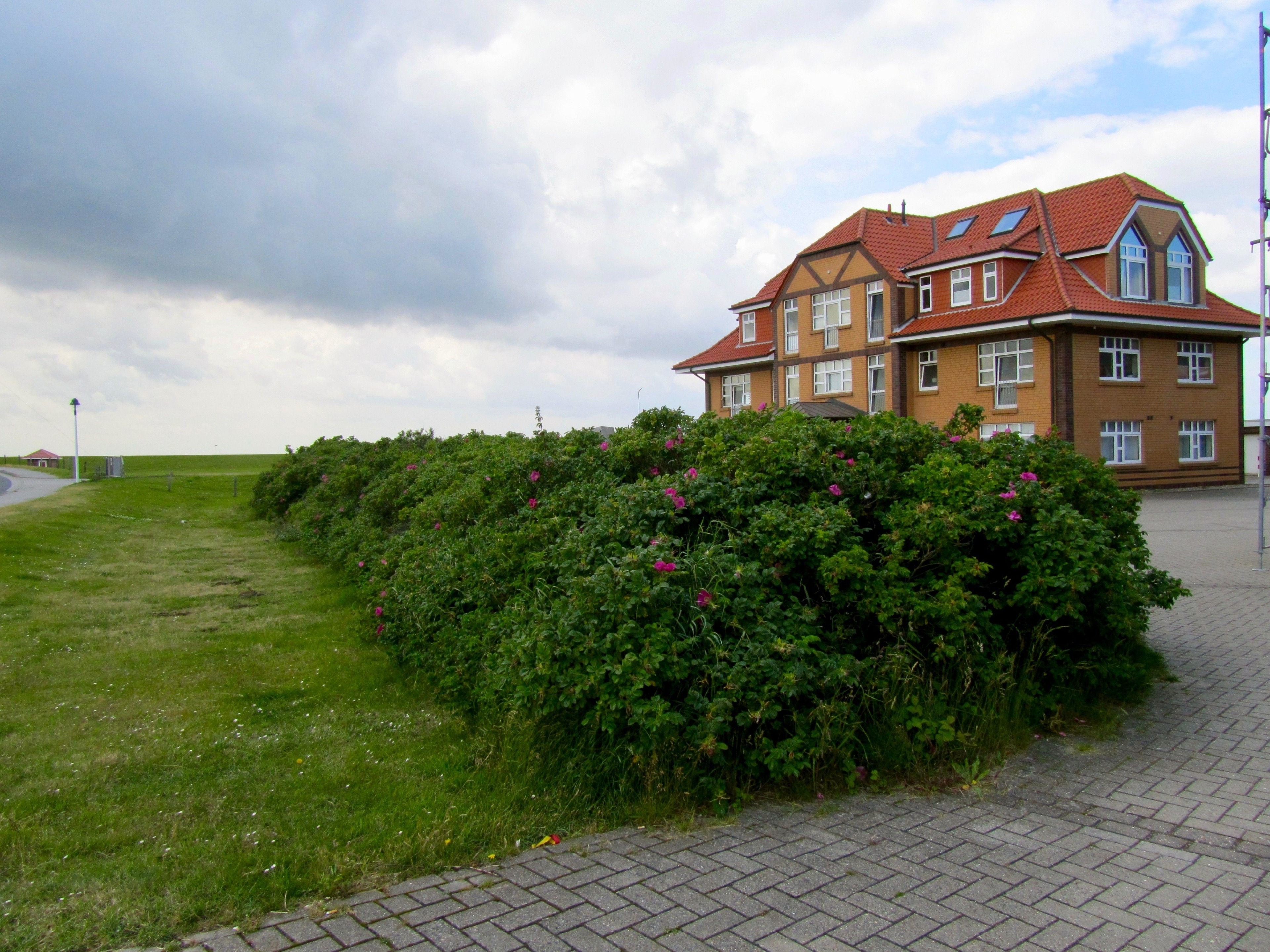 Foto 15 Ferienwohnung Ostfriesland Norderney Meerblickwohnung an der Hundewiese Reise