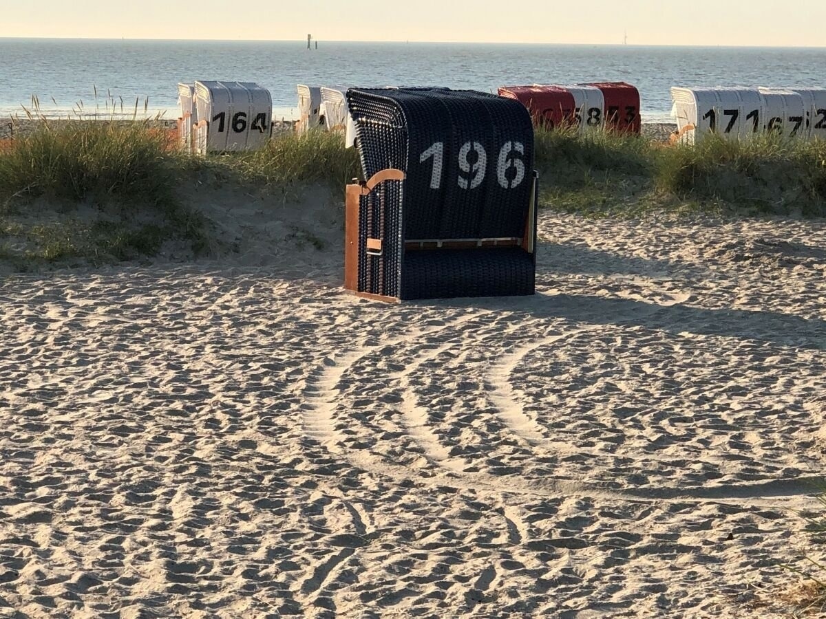 foto16