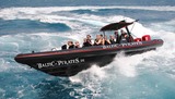 800 PS  Lighthouse-Tour mit dem Speedboot
