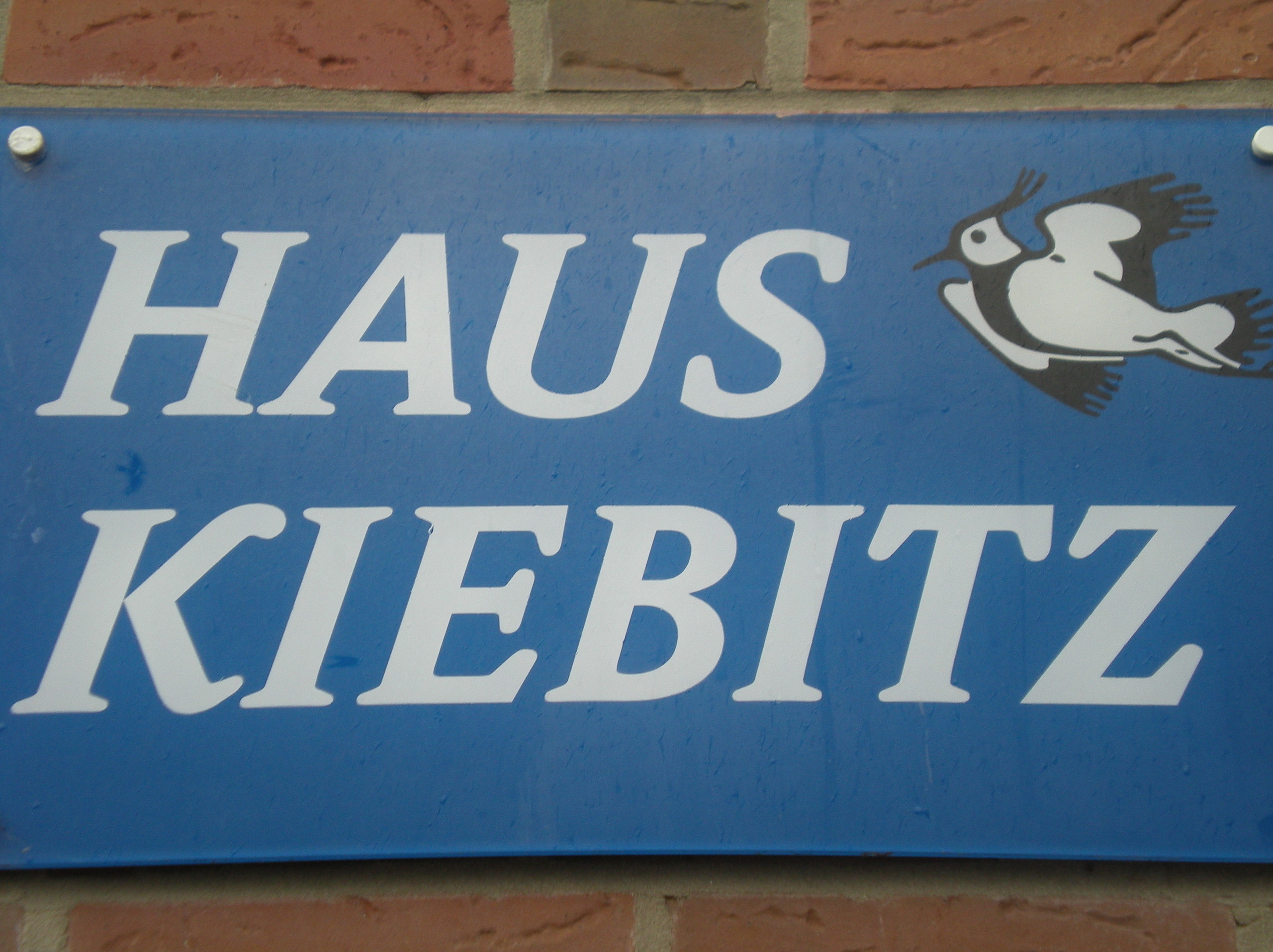 Haus Kiebitz Whg 3 4859 Borkum 40m Ferienwohnung App Fur 3