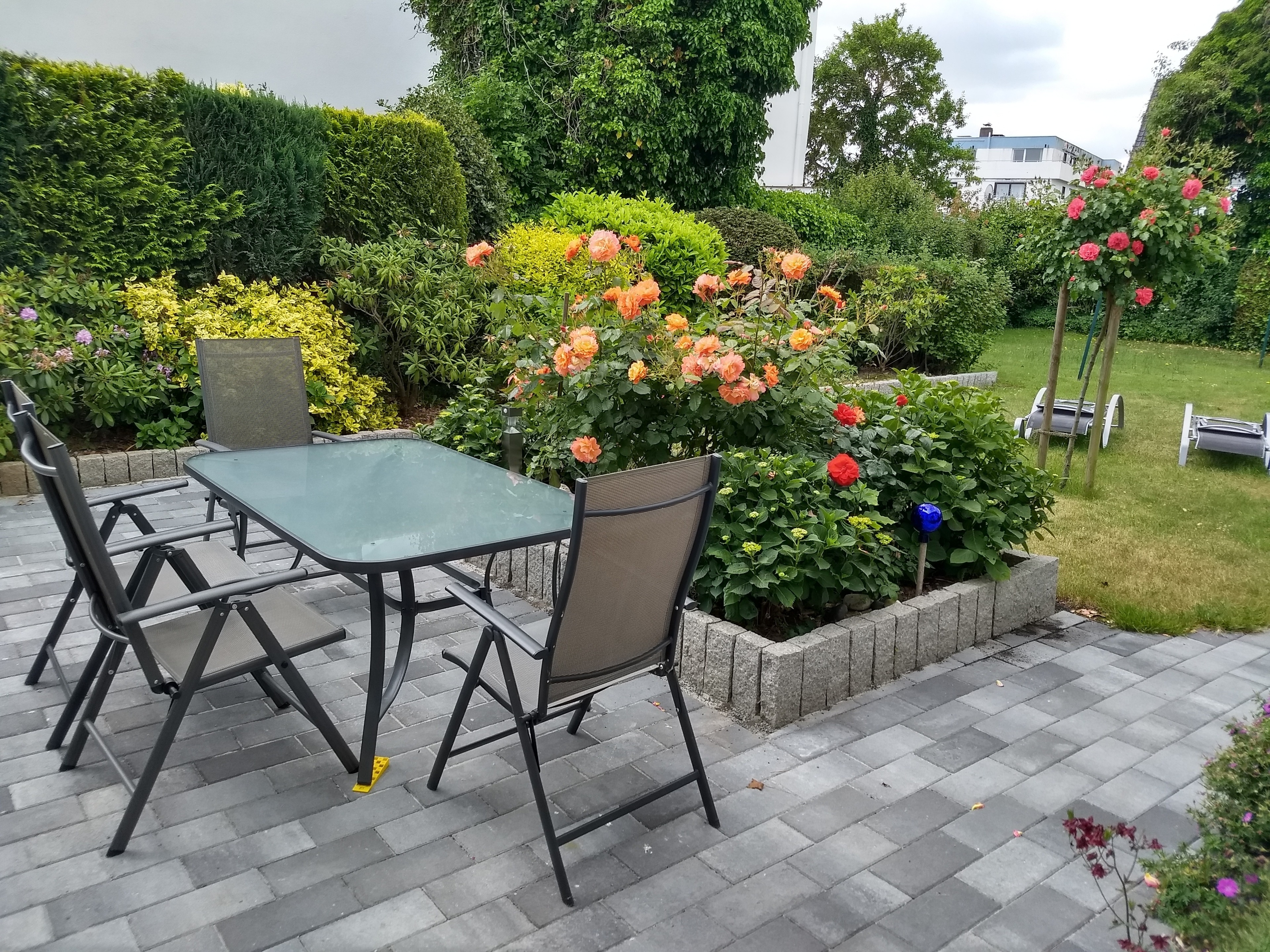 Fewo "Am Deich", Terrasse,  Garten, 50m  Ferienwohnung in Dahme