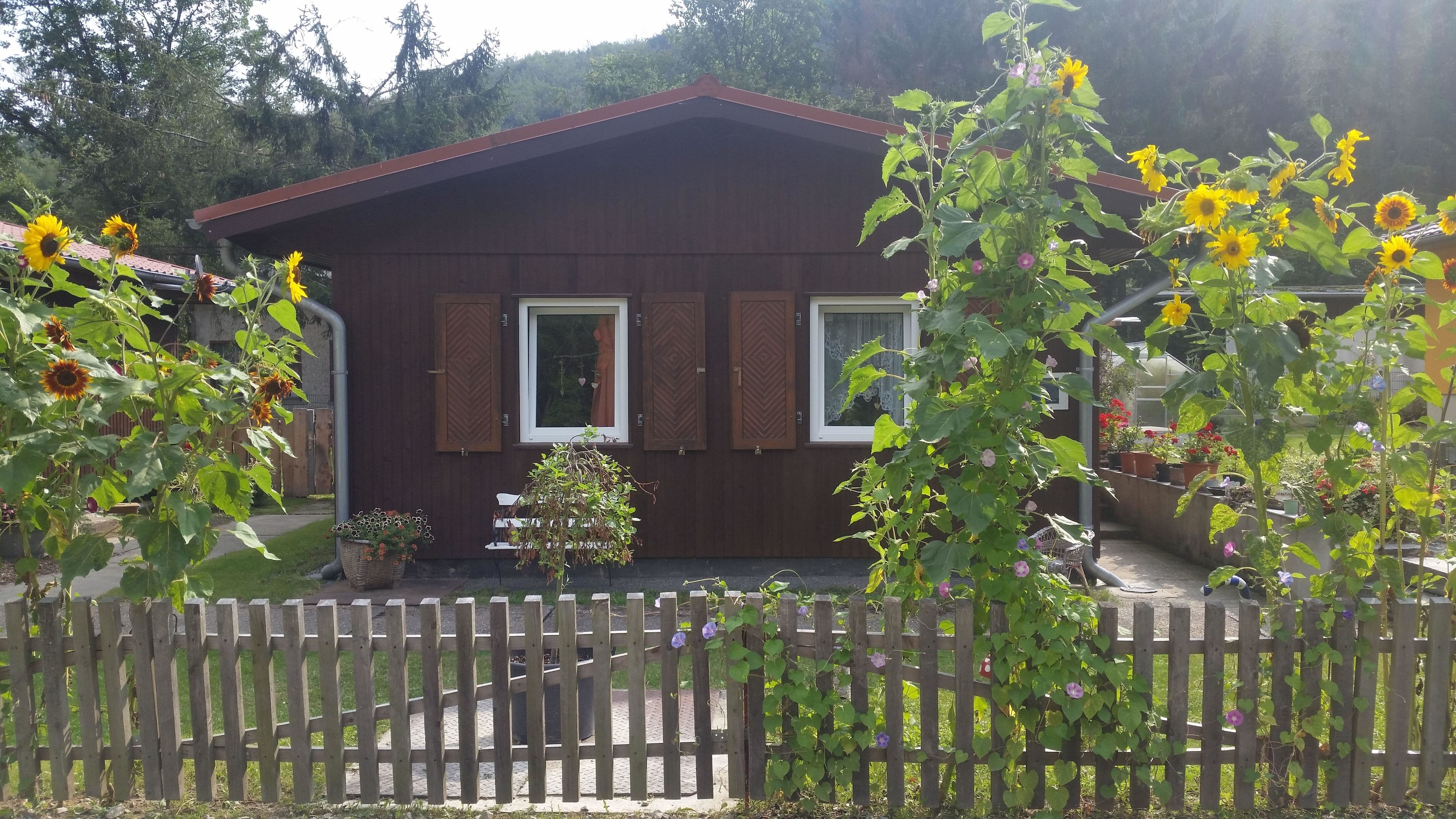 Knusperhäuschen am Waldesrand