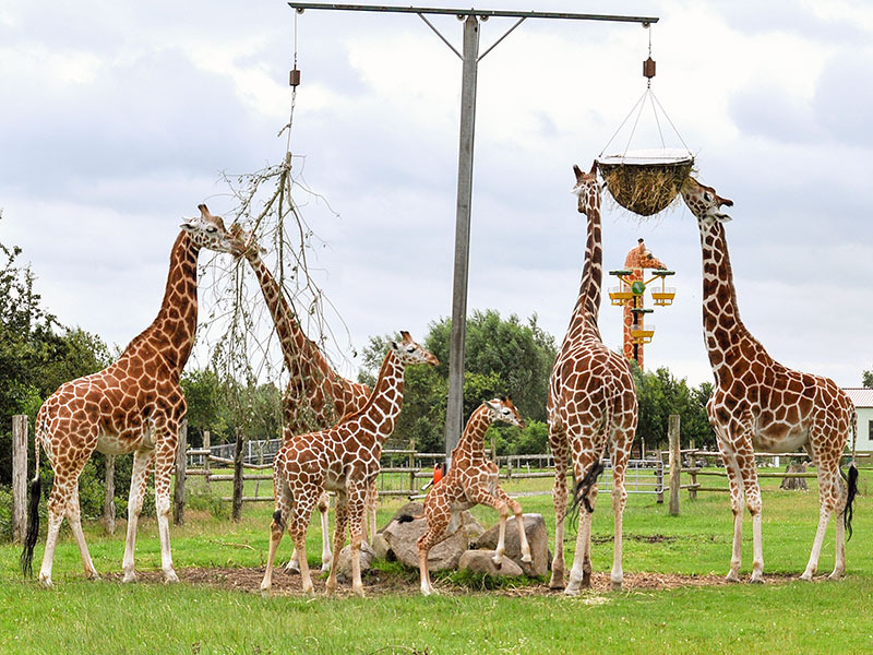 Foto 24 Ferienhaus Ostfriesland Butjadingen Wattwurm (Objekt 4274) Urlaub