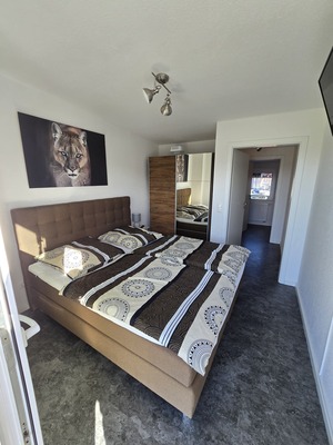 Foto 6 Ferienhaus Ostfriesland Butjadingen Wattwurm (Objekt 4274) buchen