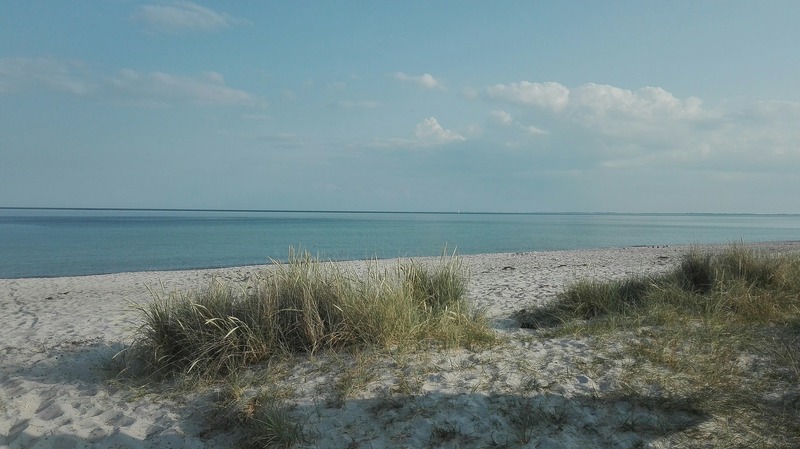 Foto 24 Ferienhaus Ostfriesland Nordfriesland Birkenhof (Objekt 59764) Urlaub