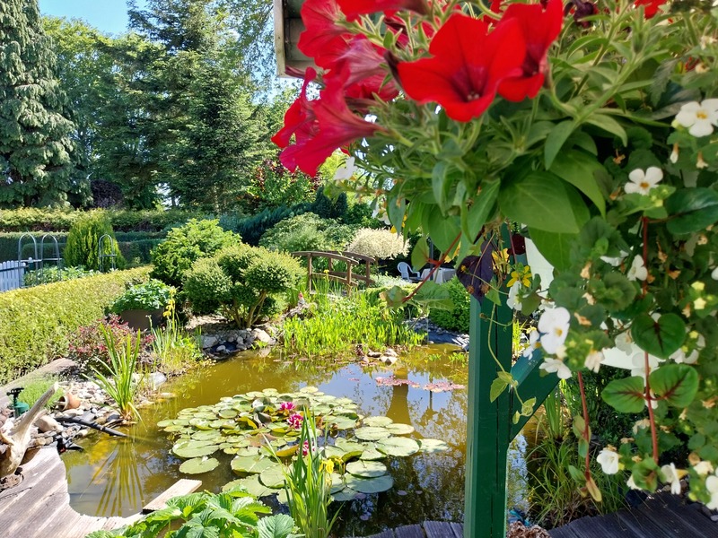 Foto 33 Ferienwohnung Ostfriesland Dornum & Umgebung Komfort 4 Sterne Wohnung 