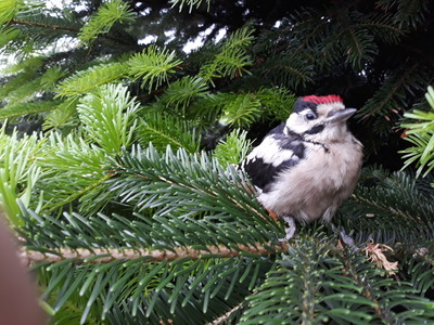 Foto 46 Ferienwohnung Ostfriesland Dornum & Umgebung Komfort 4 Sterne Wohnung 