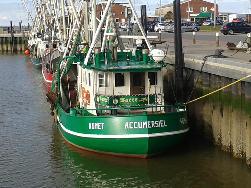 Foto 6 Ferienwohnung Ostfriesland Dornum & Umgebung Komfort 4 Sterne Wohnung 