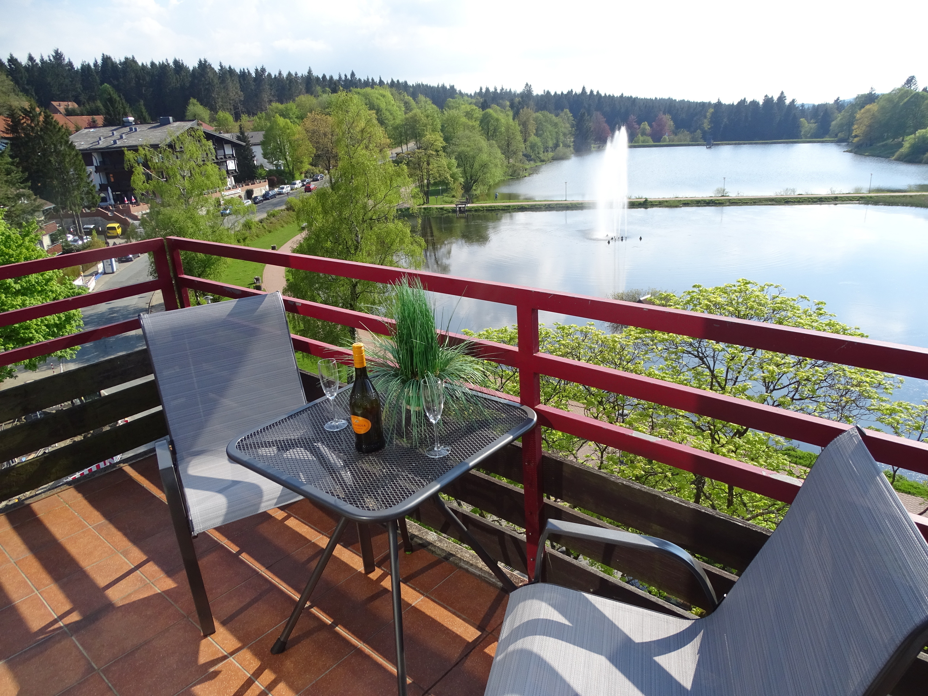 App. Sweet Harz Haus am See -Panoramablick