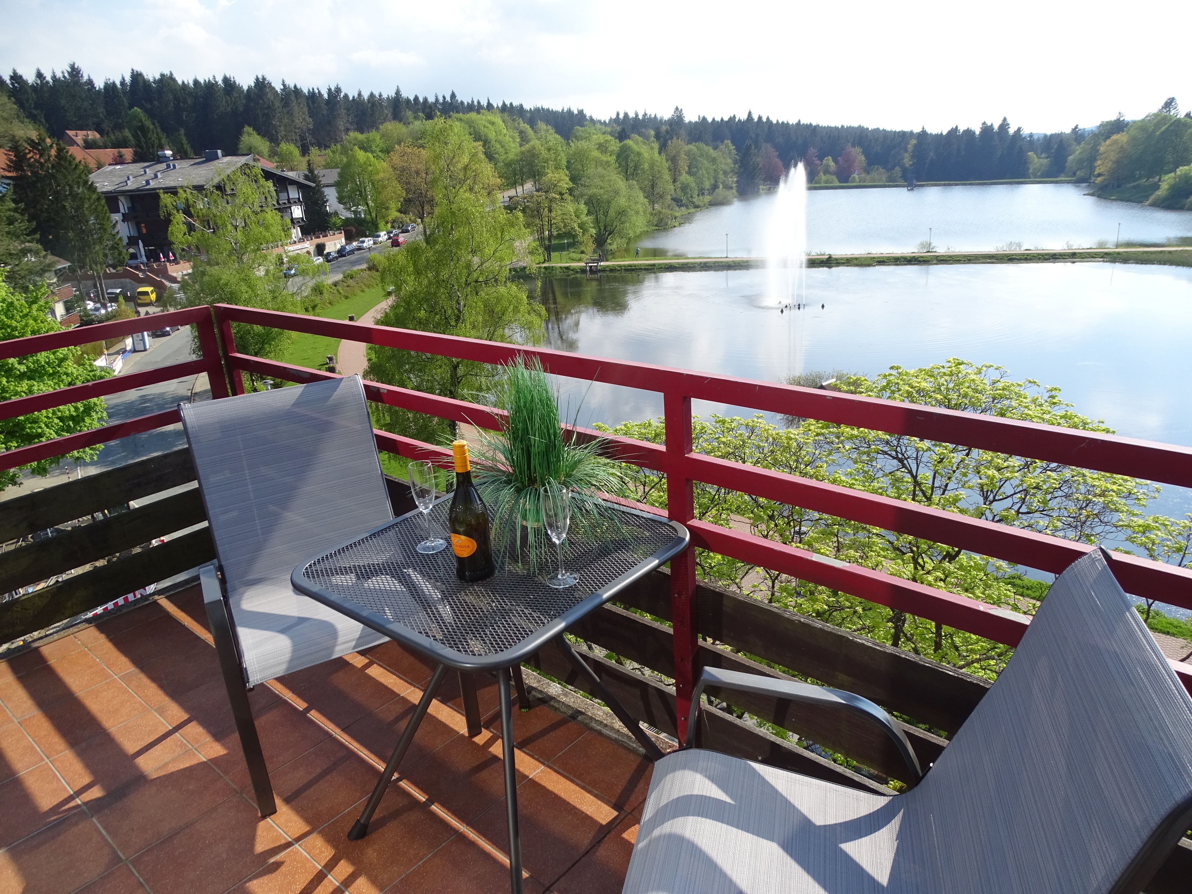 App. Sweet Harz  Haus am See -Panoramablick