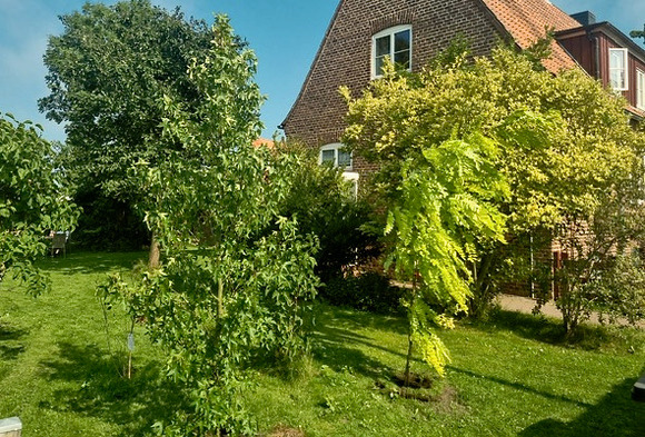 Ferienhaus Flörkes Ferienhaus  LÃ¼becker Bucht