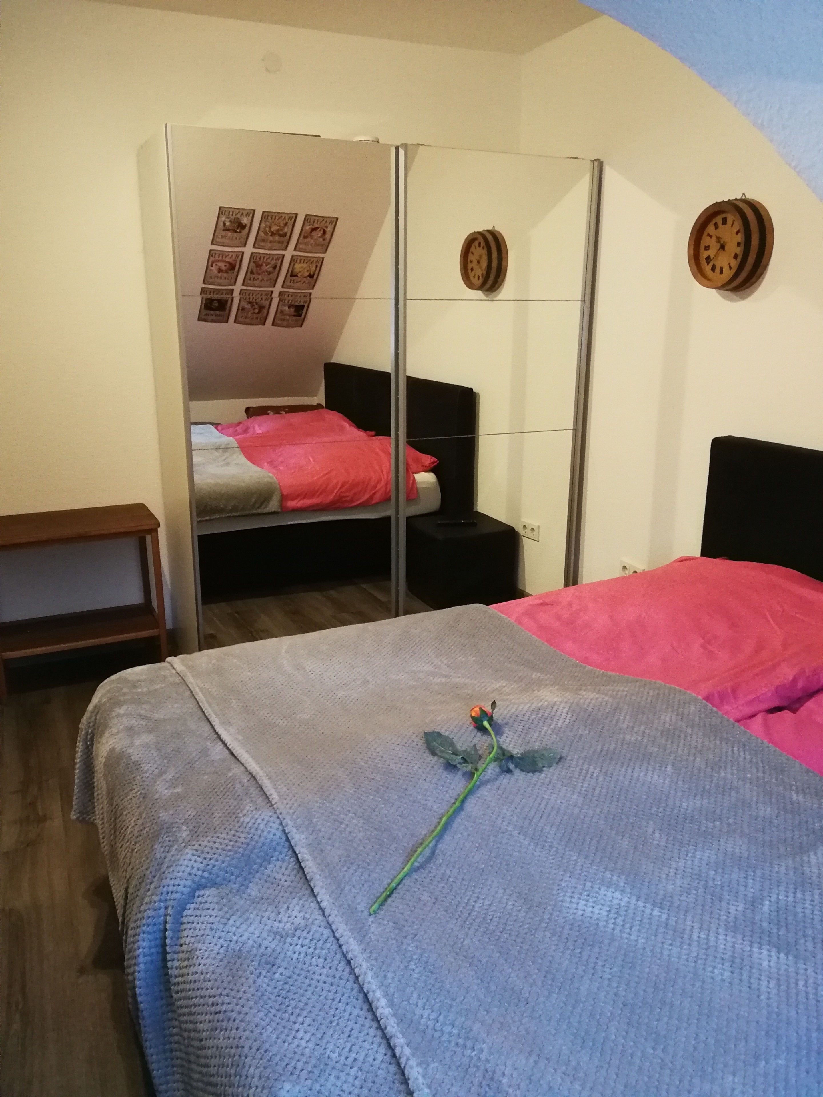 Single wohnung st.wendel
