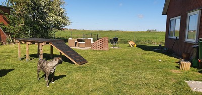 Foto 15 Ferienwohnung Ostfriesland Krummhörn & Umgebung Ferienwohnung Weitblick (Objekt 92333) Reise