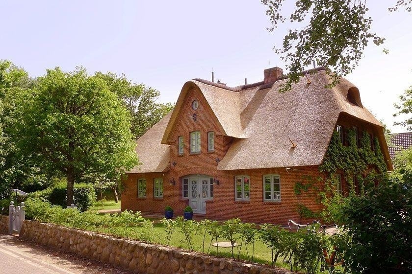 Haus Farnwai Nestfarn