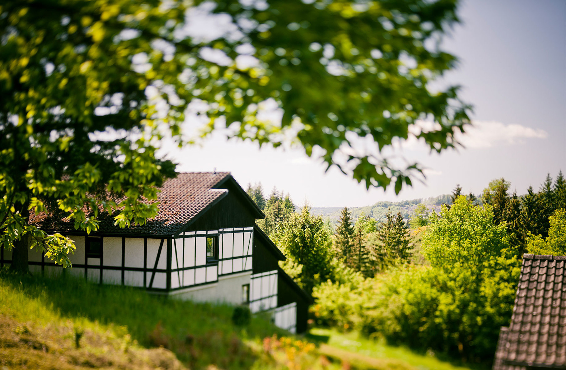 Ferienhaus "Ahorn" 7 Ferienhaus in der Eifel