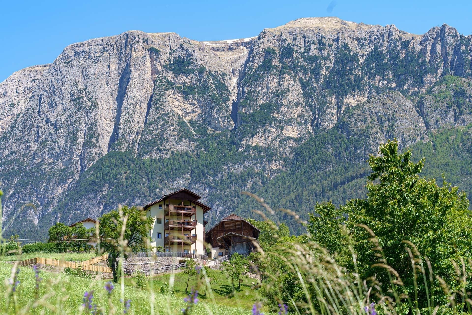 Schartnerhof