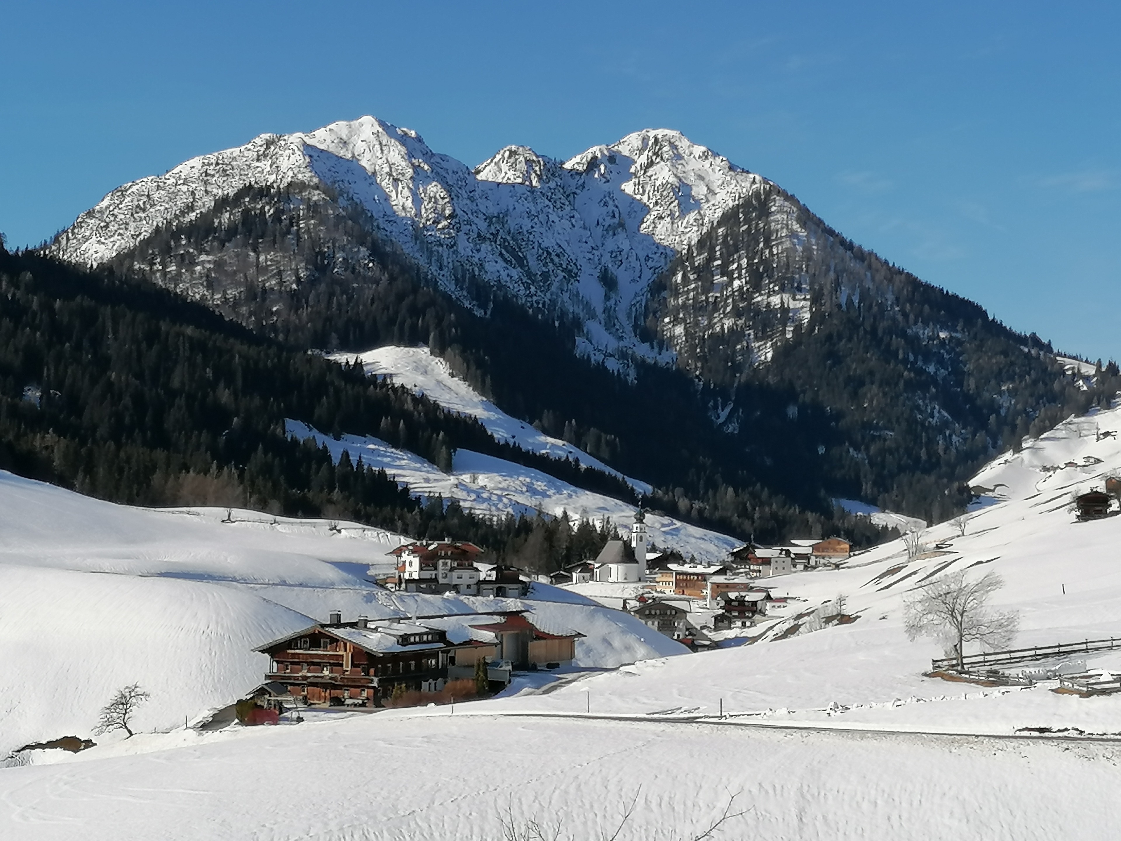 Schoners Einfanghof  by FeWo-Plan(WILD006) — Foto 15