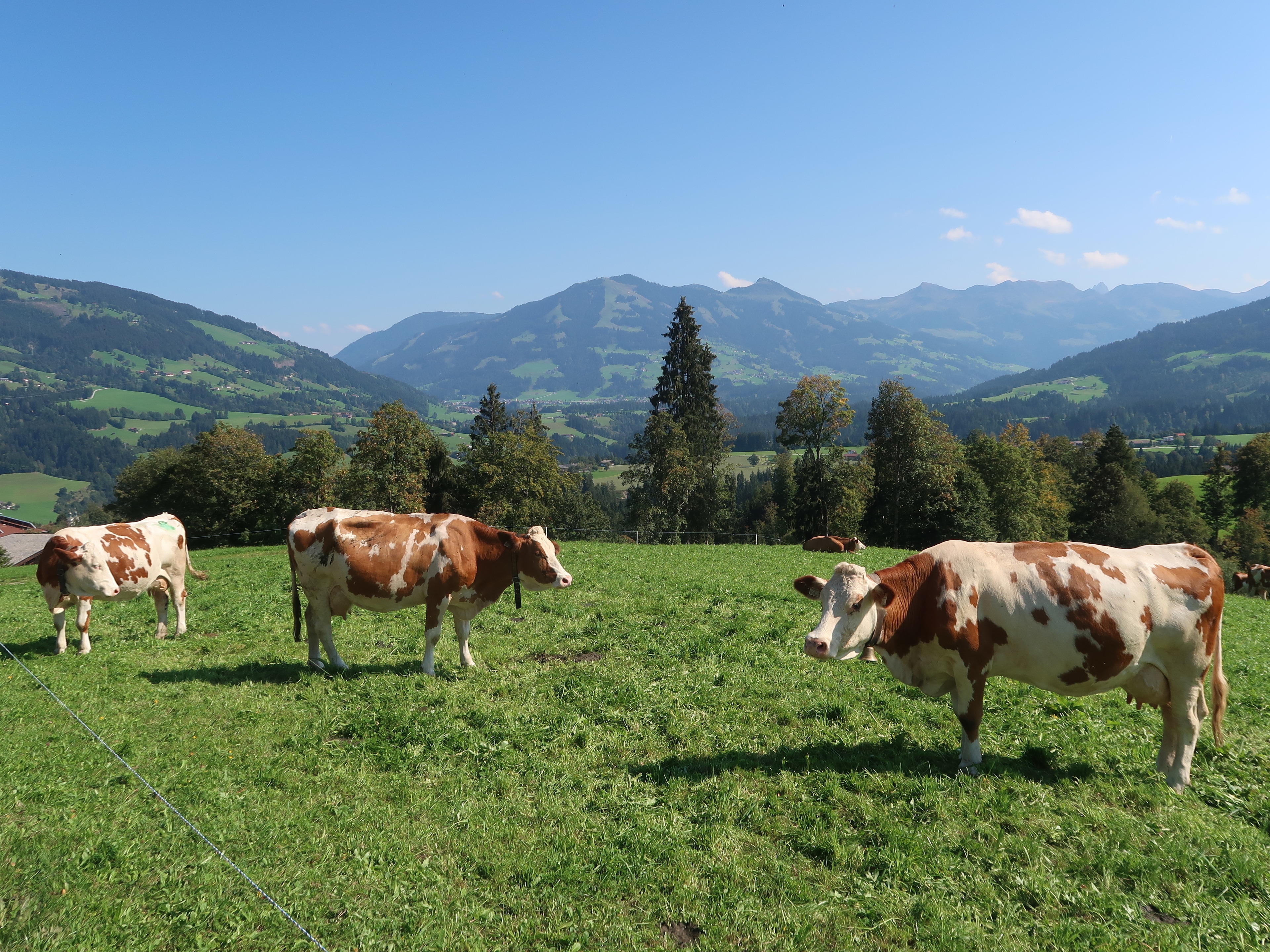 Ferienwohnung zur Kundler Klamm by FeWo-Plan  (WILD011) — Foto 15
