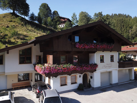 Ferienwohnung Harringer 5 Gehminuten zur Schatzbergbahn Wildschönau Tirol (WILD020) by FeWo-Plan 1