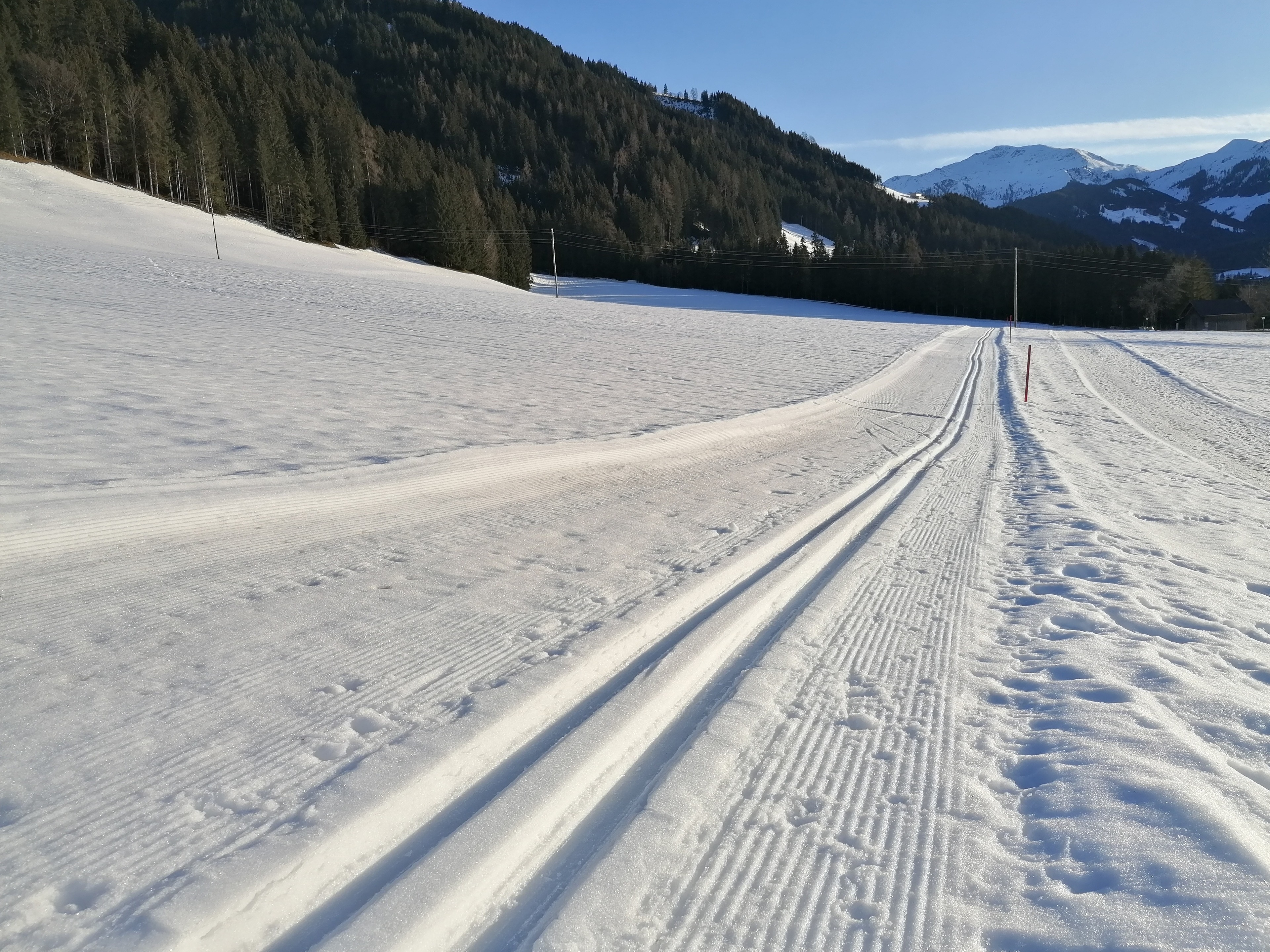 Gittis Ferienwohnung Panorama (WILD31) – Bild 19