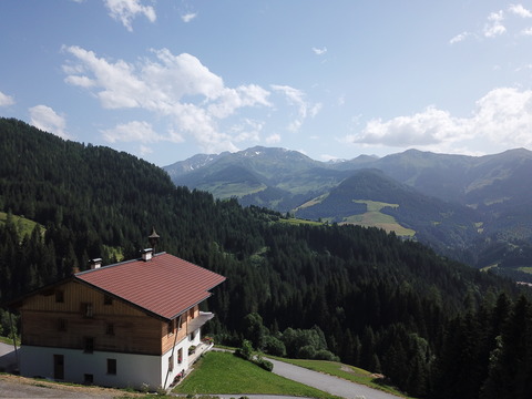 Ferienwohnung in Panorama Alleinlage Kitzbüheler Alpen(WILD63) by FeWo-Plan 1