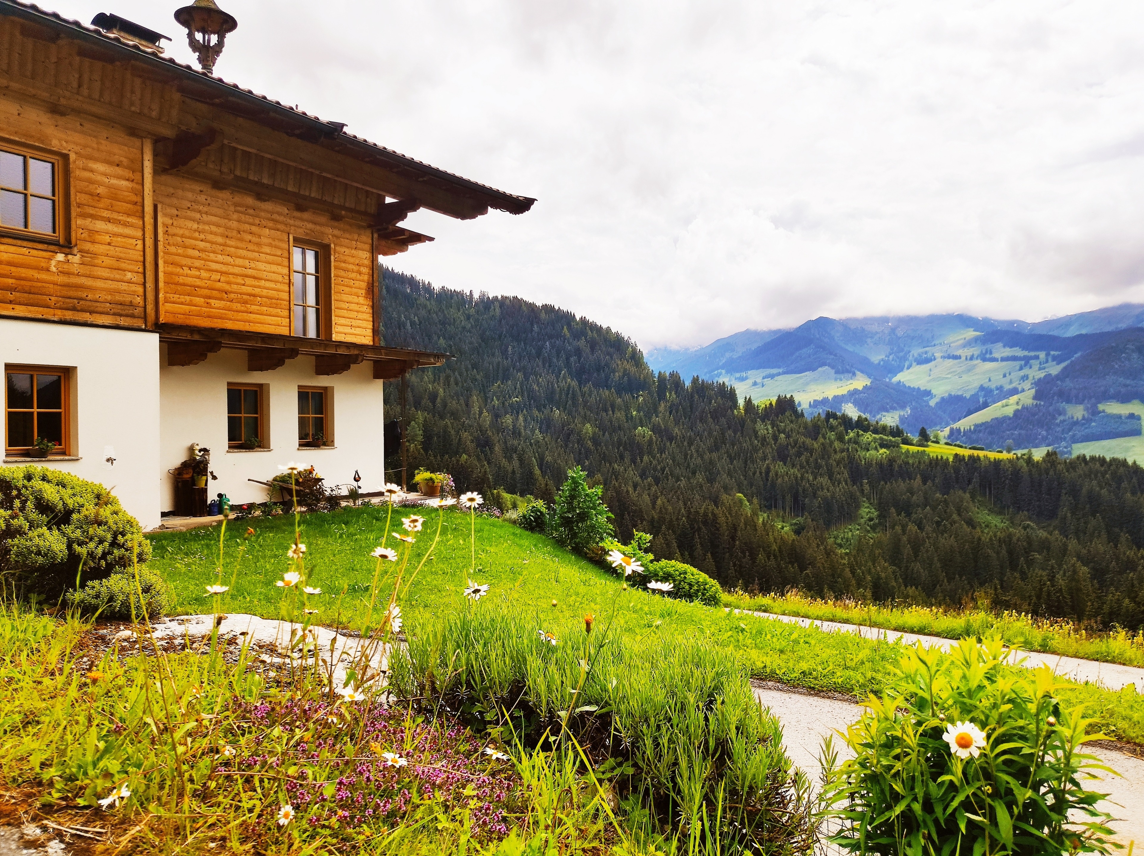 Ferienwohnung in Panorama Alleinlage Kitzbüheler Alpen(WILD63) by FeWo-Plan – Bild 6
