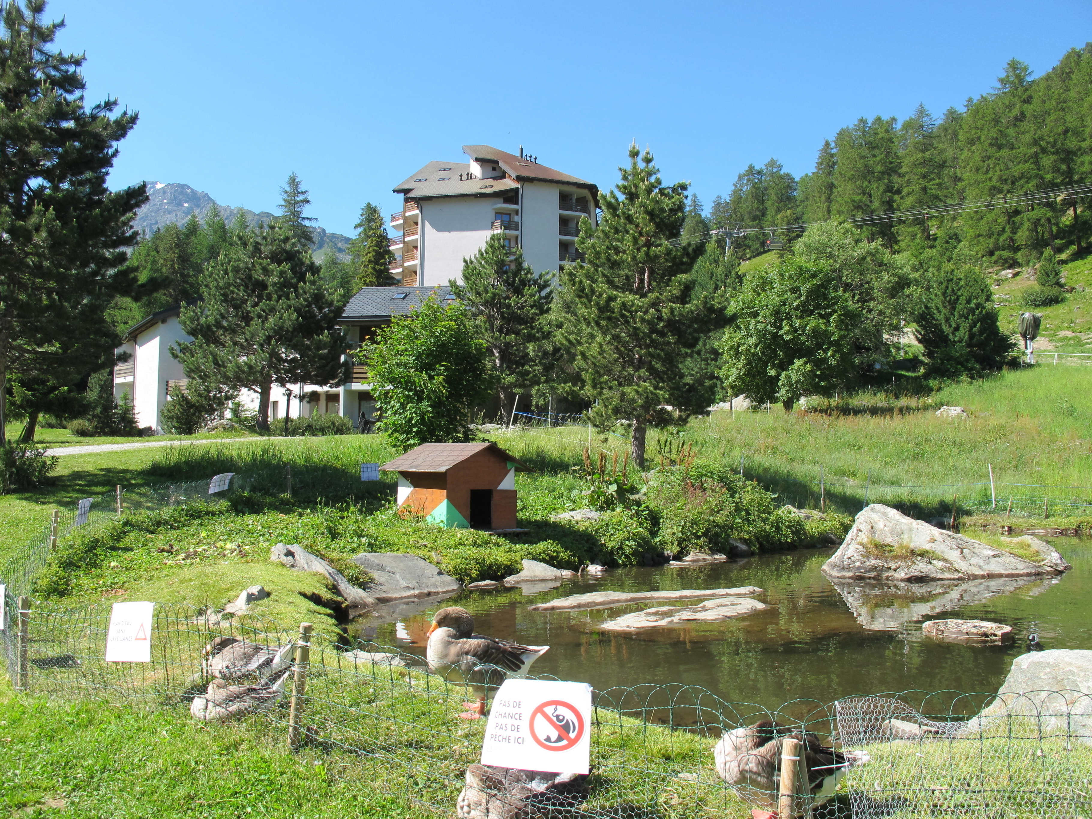 Residenz Montfort E4 (SIVI100) SKI IN AND SKI OUT — Foto 6