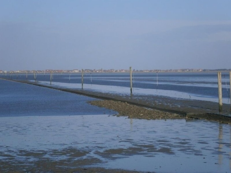 Foto 8 Ferienhaus Ostfriesland Dornum & Umgebung Wattkieker (Objekt 1350) Nordsee