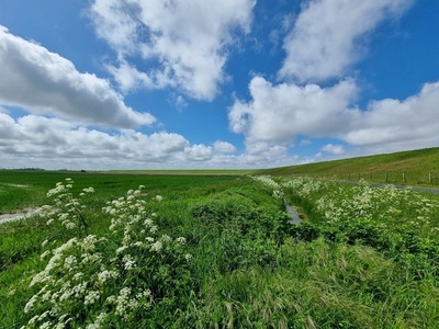 Foto 15 Ferienwohnung Ostfriesland Dornum & Umgebung Ferienwohnung Ostwind (Objekt 91812) Reise