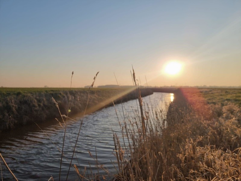 Foto 19 Ferienwohnung Ostfriesland Dornum & Umgebung Ferienwohnung Nordwind (Objekt 100512) Urlaub