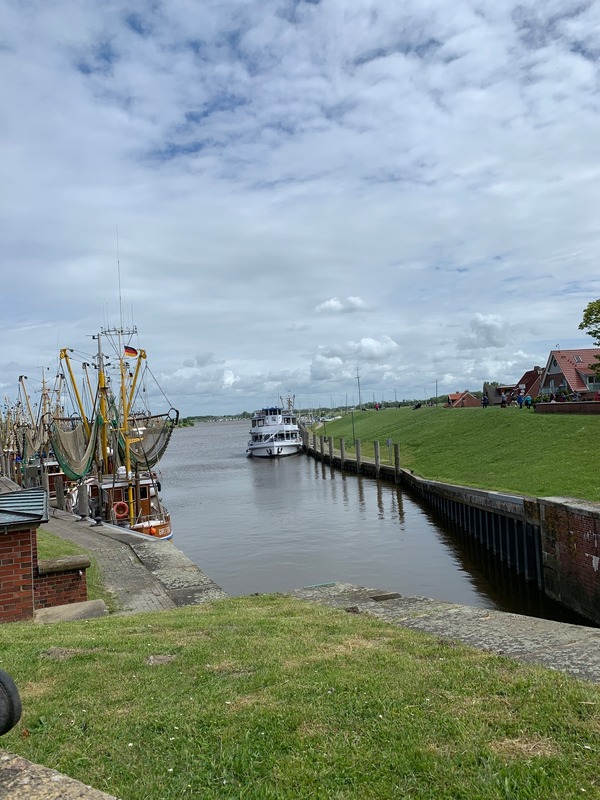 Foto 26 Ferienhaus Ostfriesland Krummhörn & Umgebung Neuhaus Deichperle (Objekt 1298) buchen