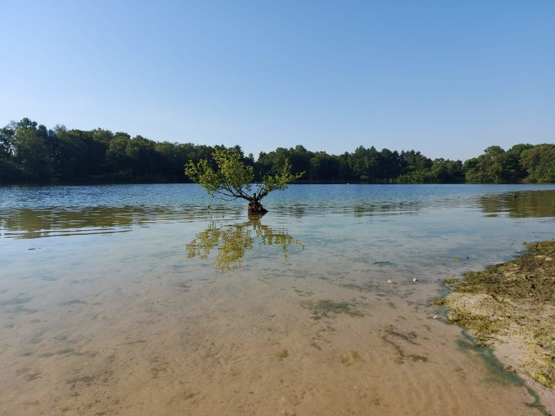 Foto 24 Ferienhaus Ostfriesland Norddeich & Umgebung Ferienhaus Hilgenhuus (Objekt 100533) Urlaub