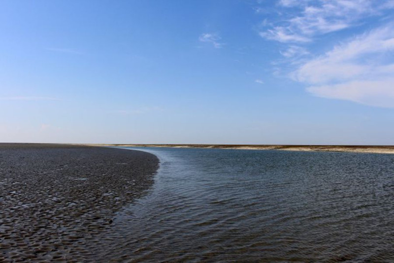 Foto 24 Ferienwohnung Ostfriesland Zwischen Elbe und Weser Quartier Hohe Geest 9 - Wolke 9 (Objekt 4278) Urlaub