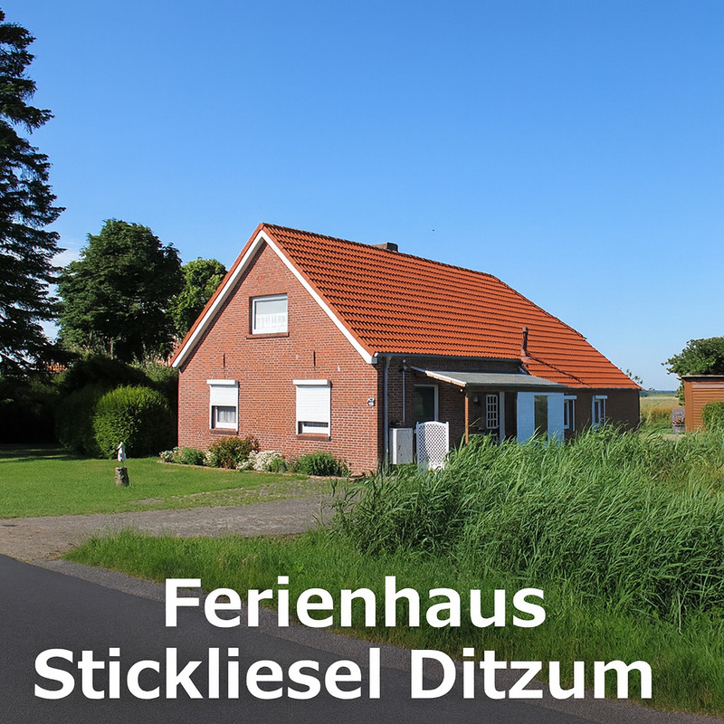 Foto 1 Ferienhaus Ostfriesland Rheiderland Ferienhaus STICKLIESEL (DITZ125) am DOLLART (Emsmündung) Nähe  Emden (Fähre) (Objekt 1822) buchen