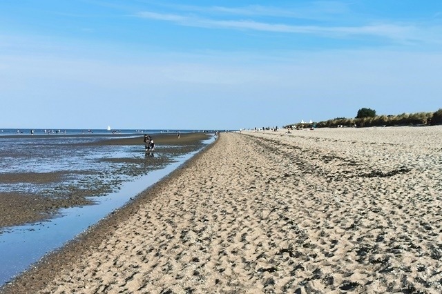 Foto 24 Ferienhaus Ostfriesland Carolinensiel Aseler Nordseestube (Objekt 28503) Urlaub