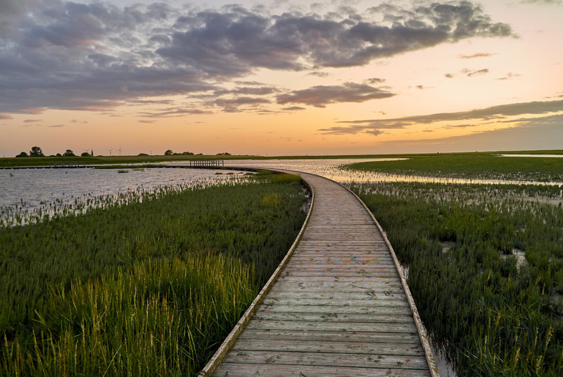 Foto 24 Ferienwohnung Ostfriesland Butjadingen Sielhuus 4 - Butjadingen (Objekt 21399) Urlaub