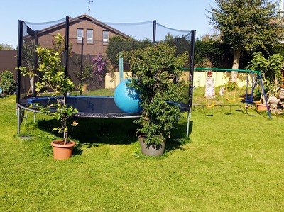 Foto 24 Ferienwohnung Ostfriesland Friesland KOJE 2 (Objekt 1882) Urlaub