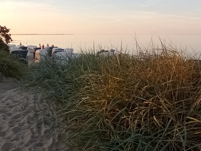 Foto 26 Ferienwohnung Ostfriesland Friesland KOJE 1 (Objekt 1881) buchen