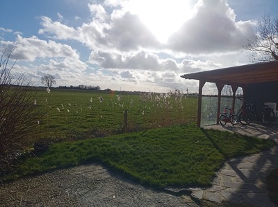 Foto 28 Ferienwohnung Ostfriesland Friesland KOJE 1 (Objekt 1881) Nordsee