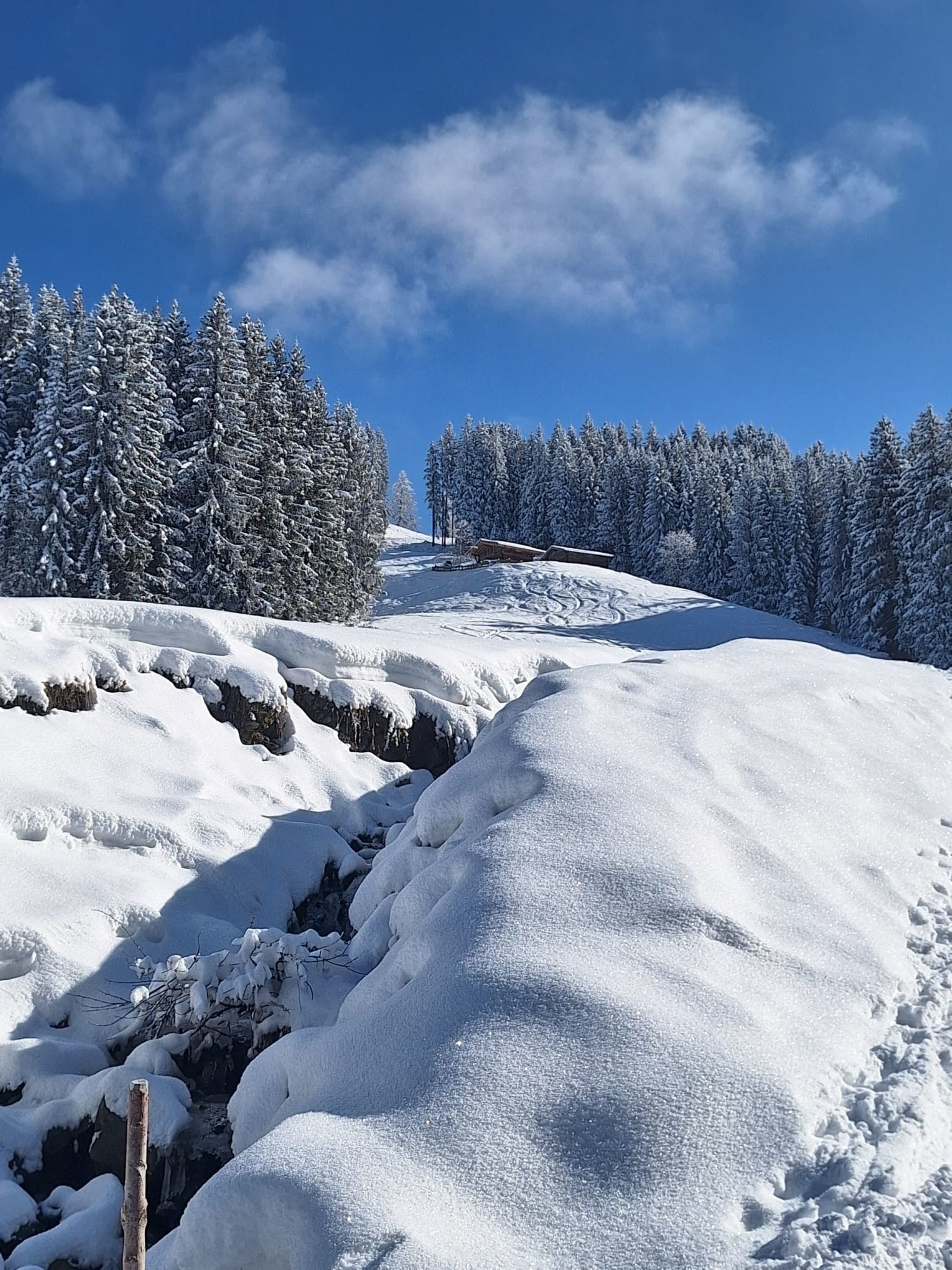 Chalet zum Feldalphorn (Prädasten WILD605) — Foto 24