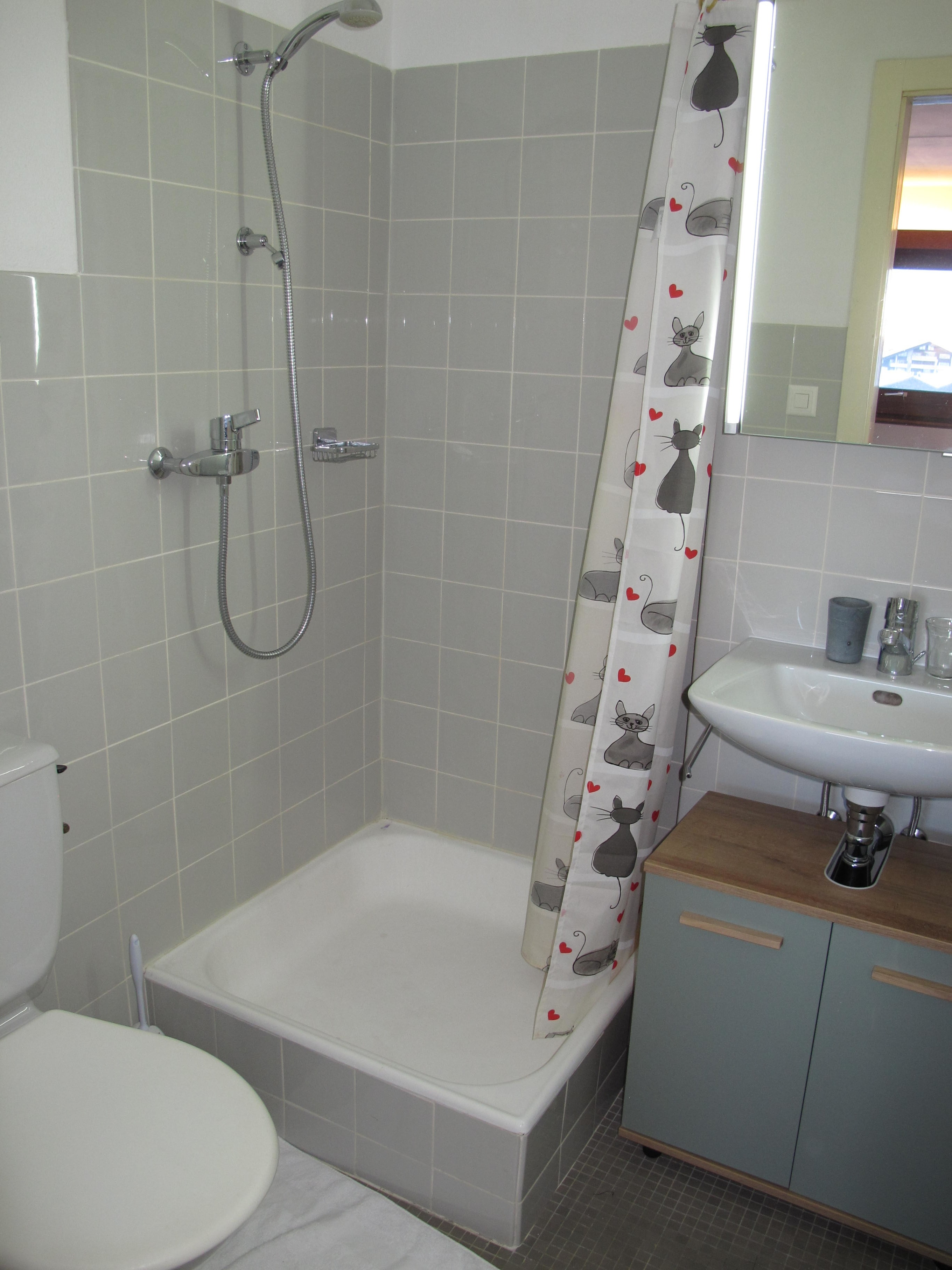 Residenz Rosablanche, Fewo GENTIANES by fewo-plan (SIVI155) — Foto 15