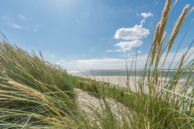 Foto 17 Ferienwohnung Ostfriesland Spiekeroog *** Studio-Inselrose *** (Objekt 92361) suchen