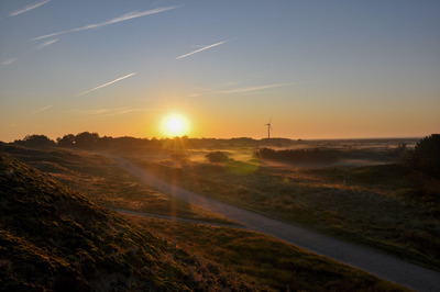 Foto 19 Ferienwohnung Ostfriesland Spiekeroog *** Studio-Inselrose *** (Objekt 92361) Urlaub