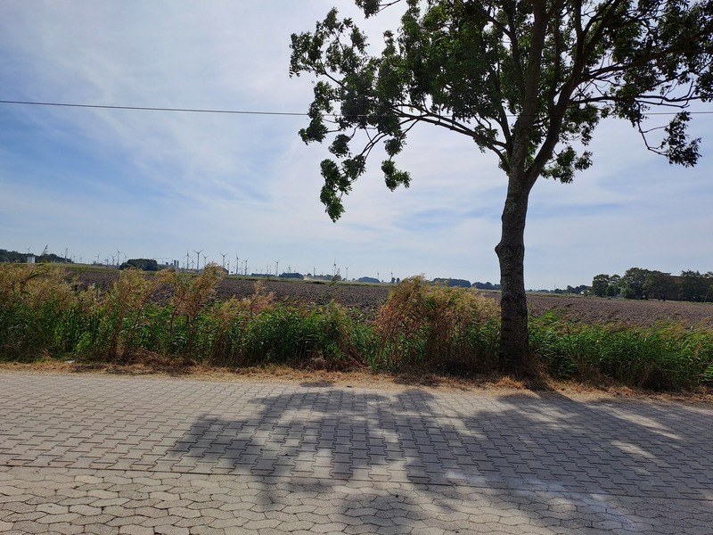 Foto 17 Ferienwohnung Ostfriesland Dornum & Umgebung Schwalbennest (Objekt 74558) suchen