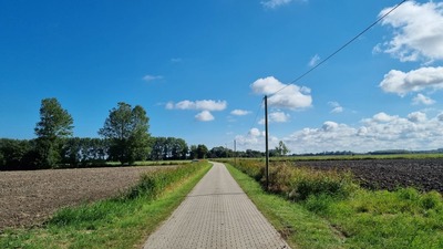 Foto 15 Ferienwohnung Ostfriesland Dornum & Umgebung Schwalbennest (Objekt 74558) Reise