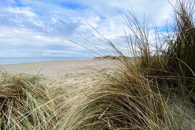Foto 17 Ferienwohnung Ostfriesland Friesland Ferien im Wangerland - Haus Wiesenweg - Ferienwohnung  1 (1.OG) (Objekt 28501) suchen