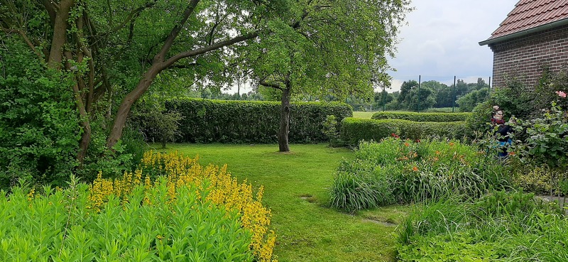 Foto 17 Ferienwohnung Ostfriesland Butjadingen Nordapart Smutje (Objekt 28996) suchen