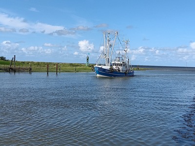 Foto 24 Ferienwohnung Ostfriesland Butjadingen Nordapart Smutje (Objekt 28996) Urlaub