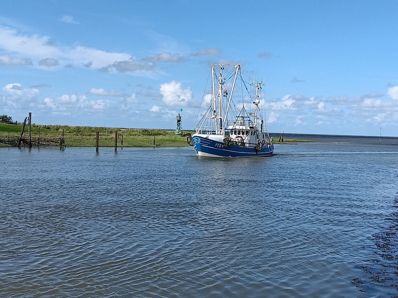 Foto 24 Ferienwohnung Ostfriesland Butjadingen Nordapart Smutje (Objekt 28996) Urlaub