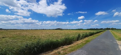 Foto 19 Ferienwohnung Ostfriesland Butjadingen Apart Lachmöwe (Objekt 35481) Urlaub